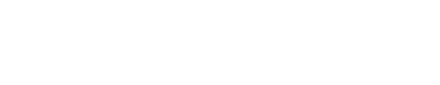 Orbit Group